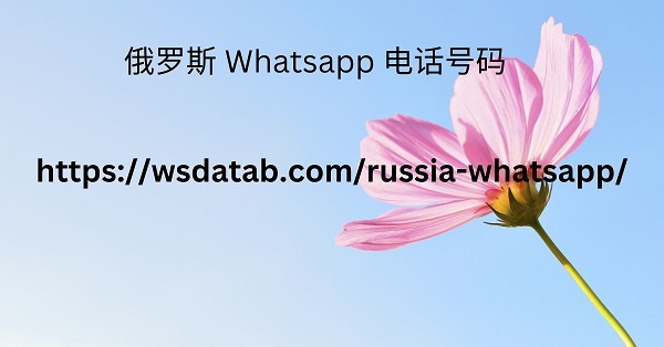 俄罗斯 Whatsapp 电话号码