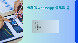 卡塔尔 whatsapp 号码数据